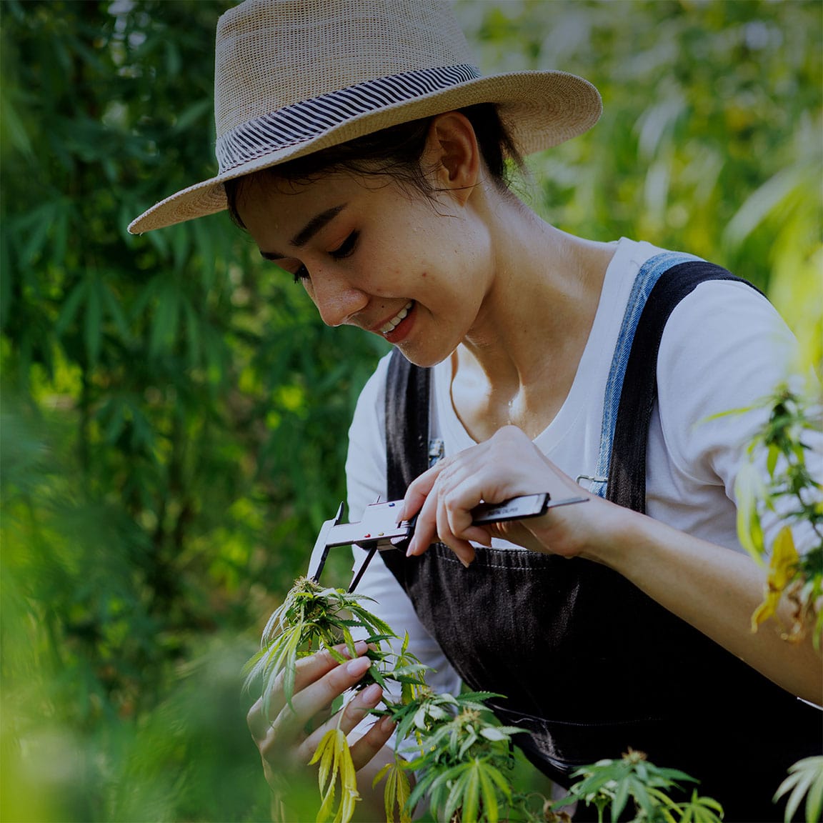 緑豊かな農地で、帽子をかぶった女性が植物を丁寧に手入れしている場面。地域農業や自然との共生を象徴